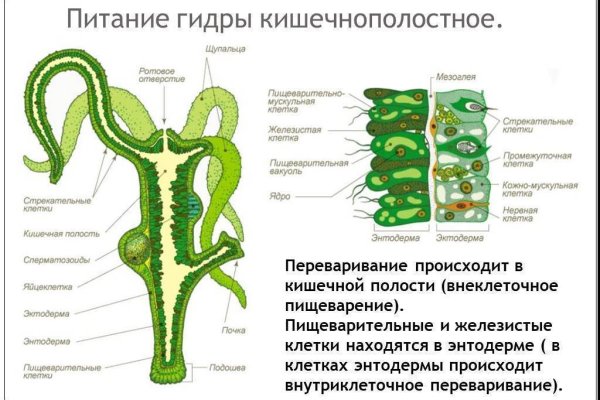 Восстановить доступ к кракену