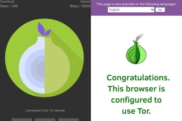 Kraken tor onion