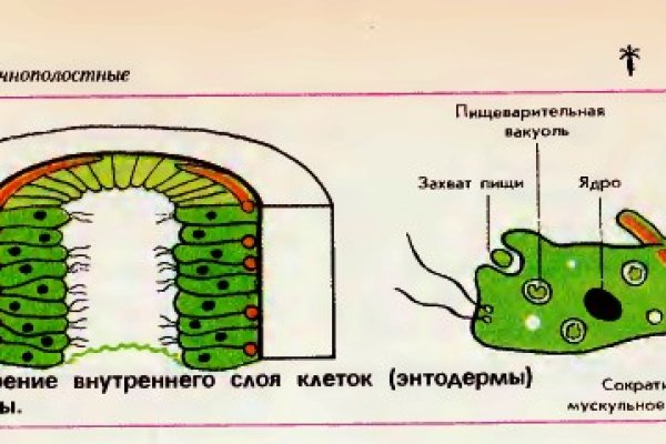 Kraken даркнет что это