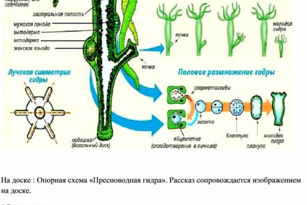 Как найти ссылку на кракен