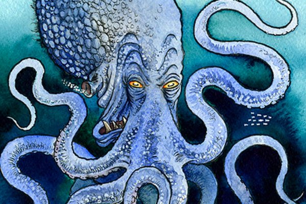 Kraken актуальное