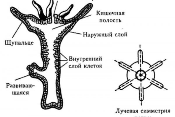 Маркетплейс кракен