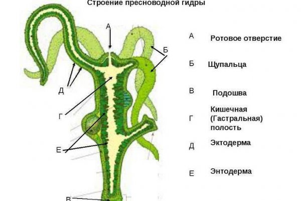 Кракен сайт сегодня